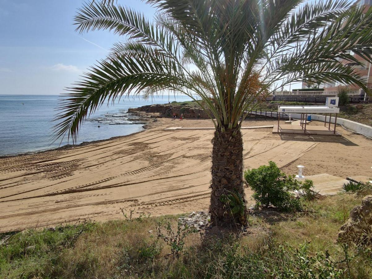 Fantastic Seaview